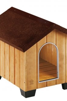 Μικρό σπίτι σκυλιών