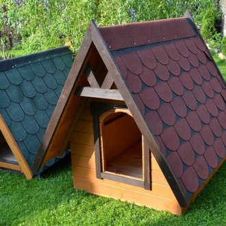 Πρωτόγονα σκυλιά σκυλιών