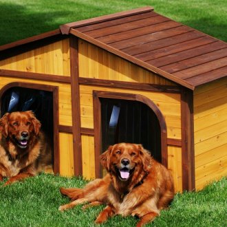 Διπλό σκυλάκι