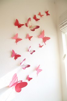 Coral πεταλούδες σε λευκό τοίχο