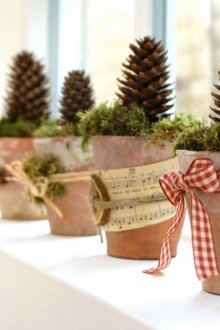 Διακόσμηση παραθύρων με γλάστρες με κώνοι