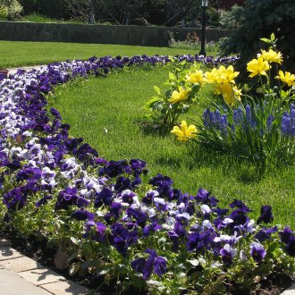 Όμορφες παρτέρια στην περιοχή