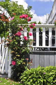 Ξύλινο λευκό φράχτη και πύλη με καμάρα