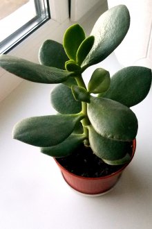 Φωτοτυπικό χαρτί