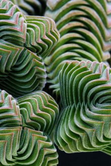 Κουζίνα με βανίλια