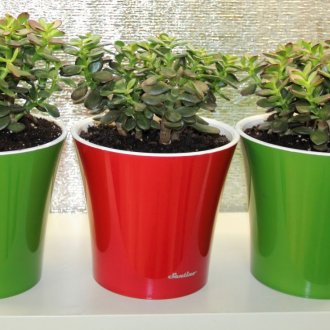 Ξύλινο τροφοδότη πουλιών