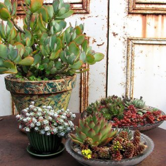 Ξύλινη τουαλέτα στη χώρα