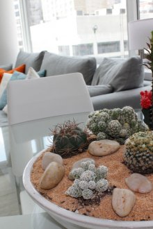 Μεγάλο florarium με κάκτους στο σαλόνι