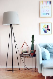 Κάκτος στο εσωτερικό του καθιστικού