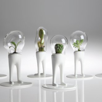 Κάκτοι σε ασυνήθιστα γλάστρες