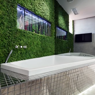 Πράσινο τοίχο στο μπάνιο