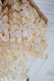 Shell μουσική του ανέμου