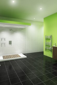 Μαύρο πάτωμα σε ένα λευκό και πράσινο μπάνιο