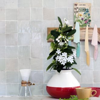 Στεφανότης