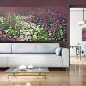 Φωτεινή προφορά