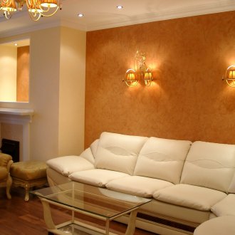 Crassula στο σαλόνι