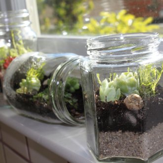 Terrarium