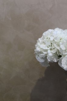 Μεταξωτό γύψο μεταξιού