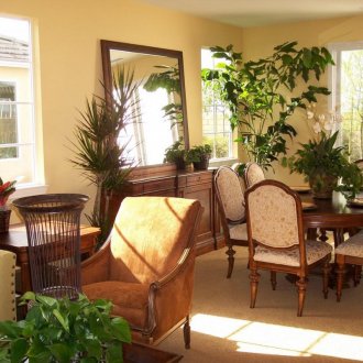 Το τζάκι γλιστρά στο σαλόνι