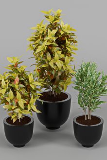 Το αρχικό σχήμα των σωλήνων στο μπάνιο