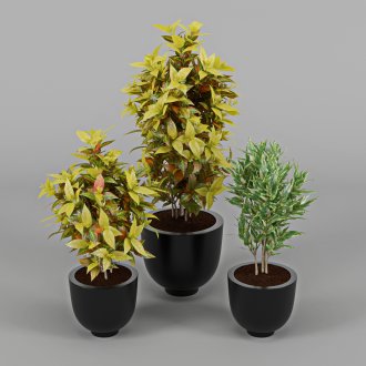 Ο αρχικός σχεδιασμός της σοφίτας στέγη του σπιτιού