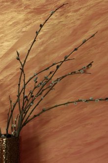 Μάρμαρο σοβά