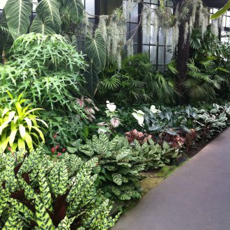 Γλάστρα στον κήπο