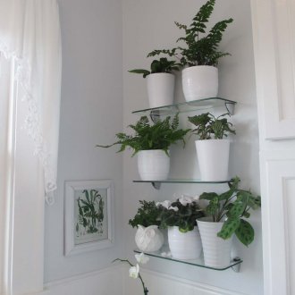 Ορχιδέα Wanda σε σκανδιναβικό εσωτερικό