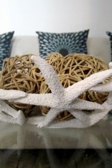Kerang di hiasan