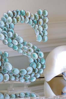Seashells στο ντεκόρ