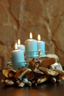 Seashells στο ντεκόρ