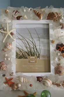 Seashells στο ντεκόρ