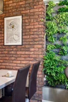 Εξωραϊσμός των τοίχων στο σπίτι