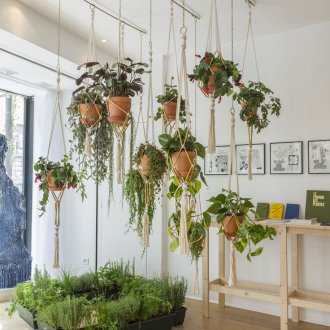 Laminate στην οροφή ενός εξοχικού σπιτιού