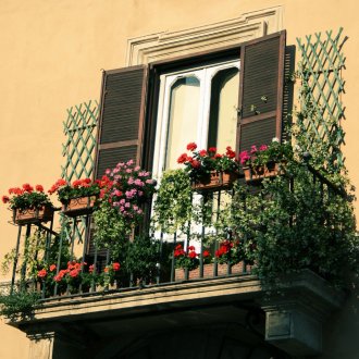 Ooievaarsbek op het balkon