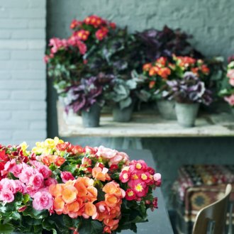 Μίνι φούρνος στην κουζίνα