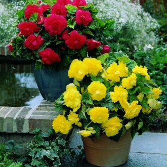 Φουσκωτός καναπές κήπου