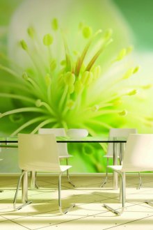 Πλαστική ποδιά κουζίνας