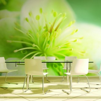 Φωτοτυπικό χαρτί