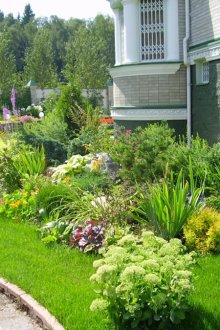 Μπροστινό κήπο