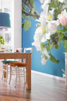 Sakura αντλώντας από τον τοίχο του διαμερίσματος