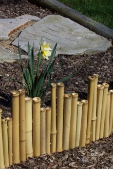 Μπροστινό κήπο