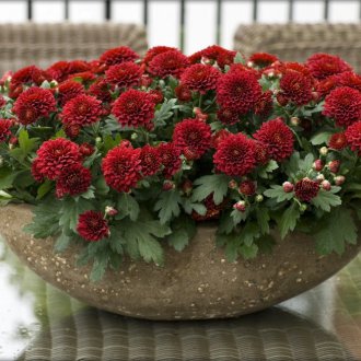 Σκάλες με κεραμικά πλακίδια