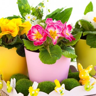 Μικρά έργα ζωγραφικής στο διάδρομο