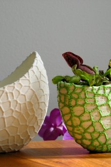 Καρέκλες της Βιέννης