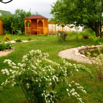 Ιαπωνικά Spirea