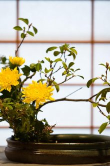 Ikebana