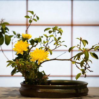 Λαμιναρισμένη