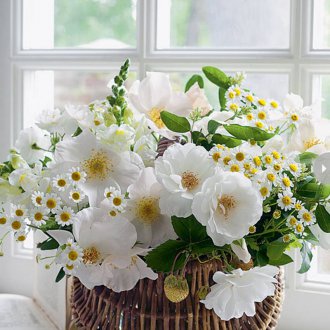 Εσωτερικό αυξήθηκε σε ένα παράθυρο