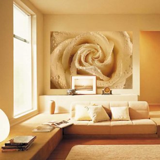 Πανοραμική εικόνα με τριαντάφυλλο